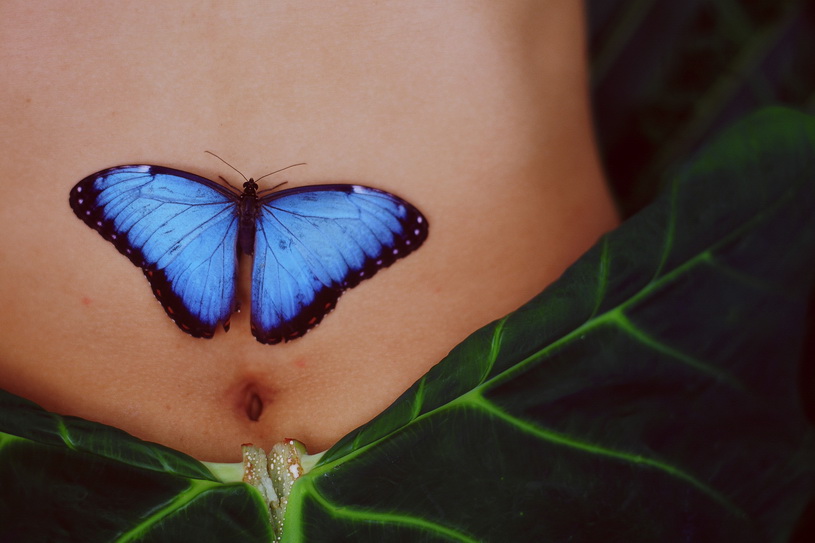 Butterfly Tattoo Free Tubes Look Excite And Delight