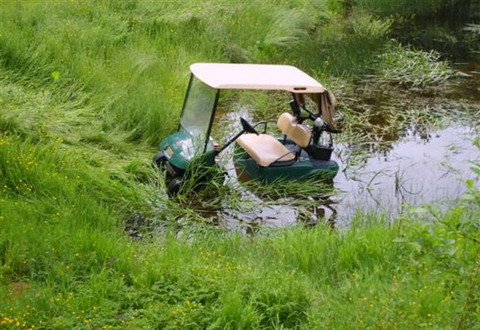 Funny Golf Cart In Pond