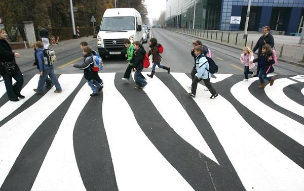 Zebra Walkway Funny Picture