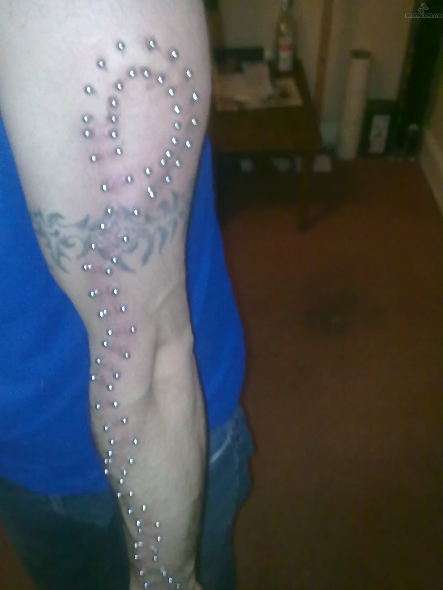 Full Arm Piercing With Silver Studs