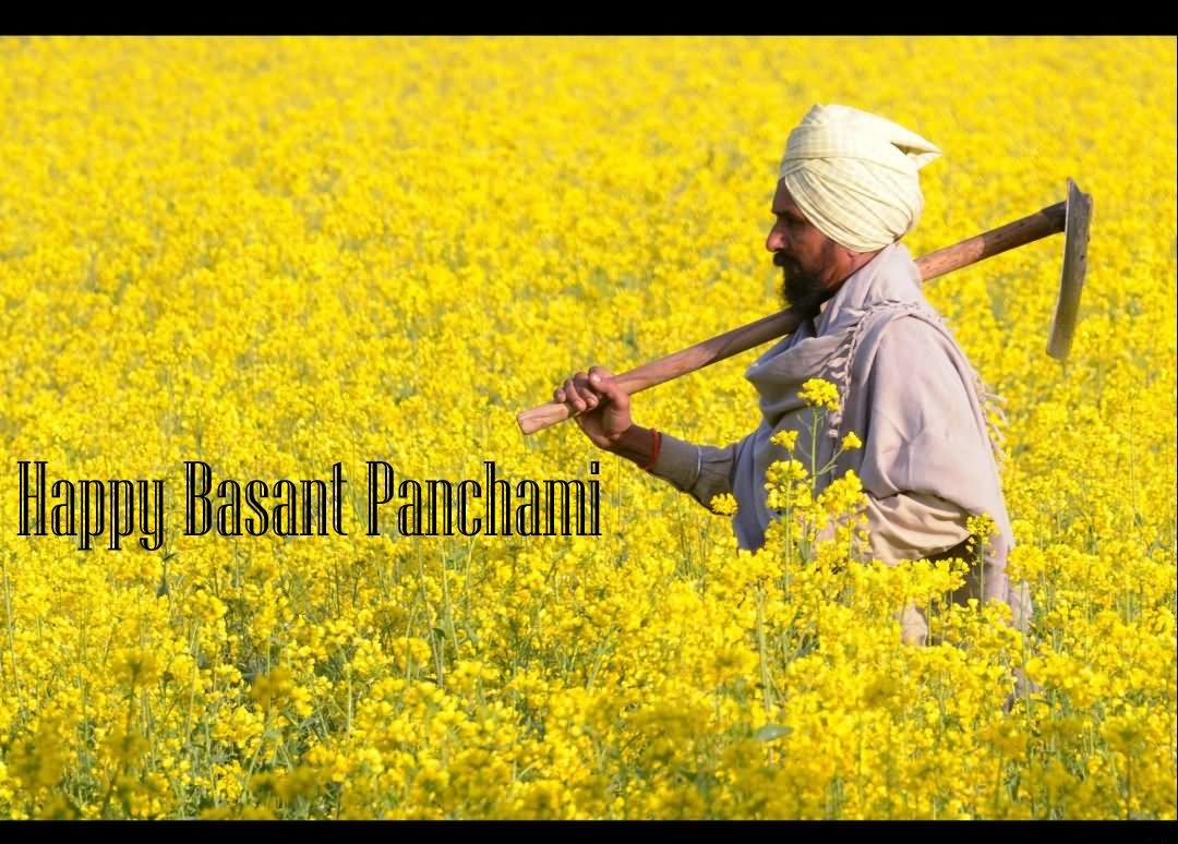 Happy Basant Panchami Farmer In Fields Picture