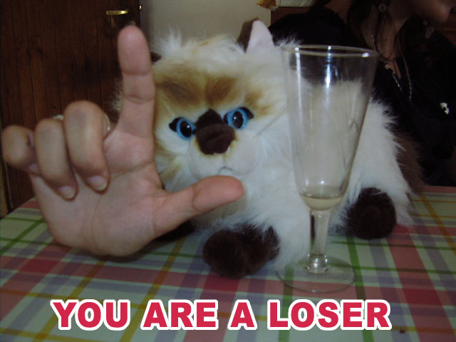 You Are A Loser Funny Insult Image