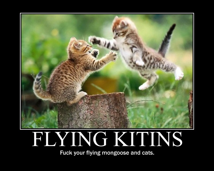 Flying Kittens Funny Fight Poster