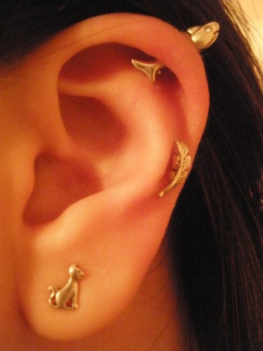 Lobe, Cartilage And Pinna Piercing With Fish Stud