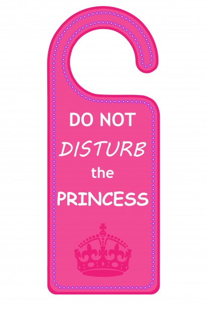 Do Not Disturb The Princess