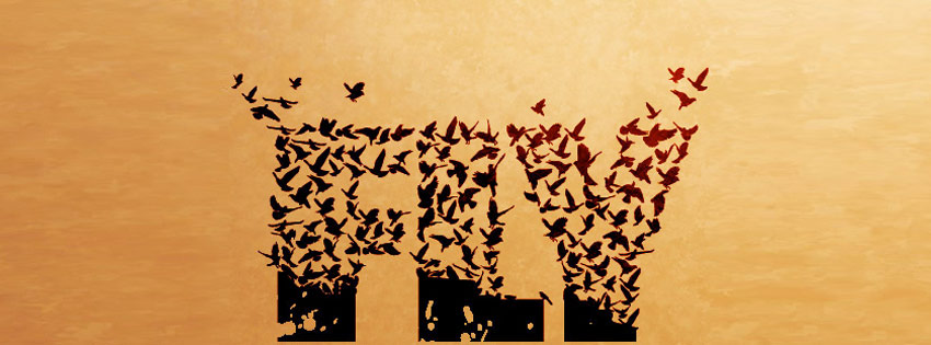 Flying Birds Facebook Cover Picture