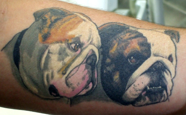 Awesome Two Bulldogs Head Tattoo Design By Heath Todd