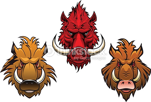 Amazing Three Boar Head Tattoo Design