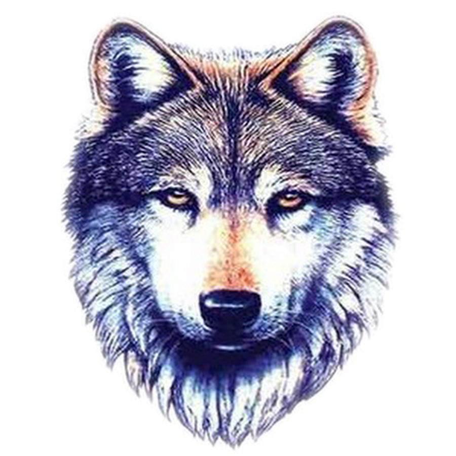 49 Latest Wolf Tattoo Designs And Ideas