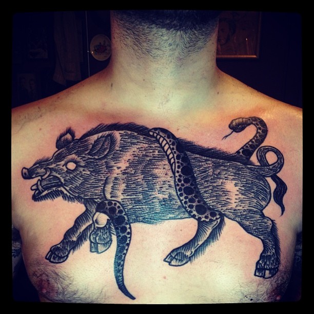 Black Ink Boar With Snake Tattoo On Man Chest