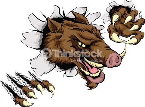 Ripped Skin Boar Tattoo Design