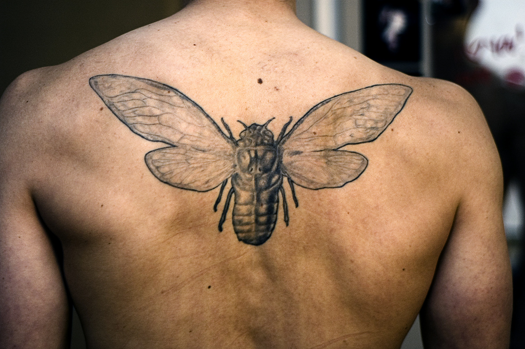 Black And Grey Bug Tattoo On Man Upper Back By Samueljacob