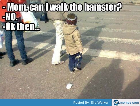 Can I Walk The Hamster Funny Meme Image