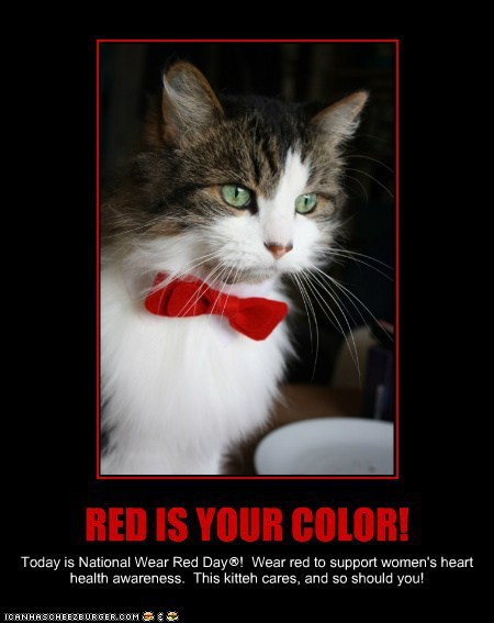 Cat With Red Bow Funny Poster