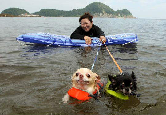 Funny Sledding In Water