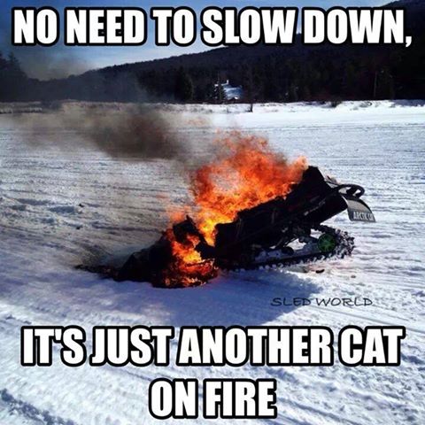 No Need To Slow Down It's Just Another Cat On Fire Funny Sled Meme