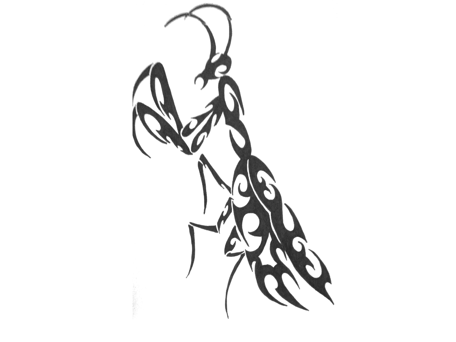 Black Tribal Mantis Tattoo Stencil