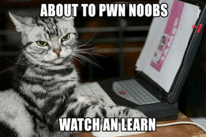 About To Pwn Noobs Watch An Learn Funny Picture