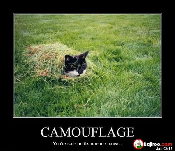 Funny Camouflage Cat Poster