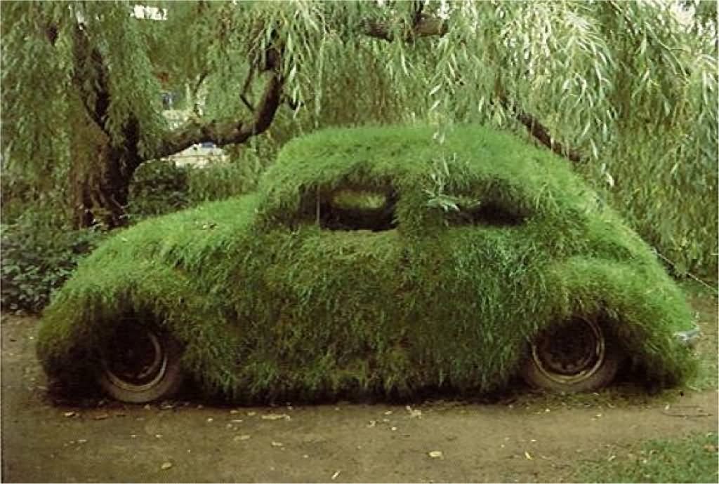 Funny Camouflage Grass Car Image