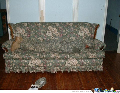 Funny Camouflage Man On Sofa