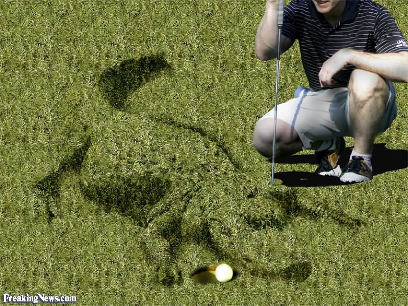 Funny Crocodile Camouflage Golf Course