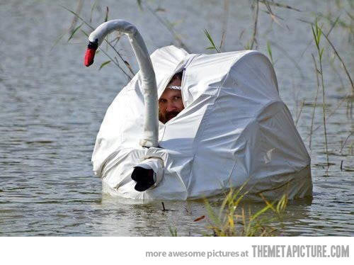 Funny Swan Camouflage Man Picture