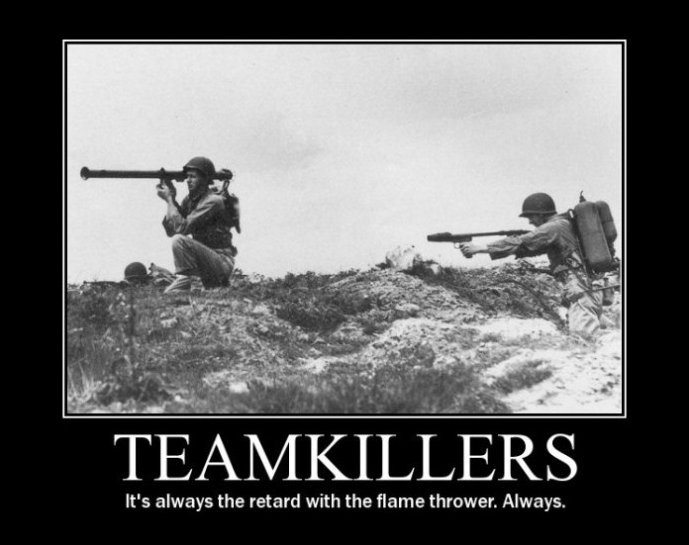 Funny Teamkillers Noob Picture