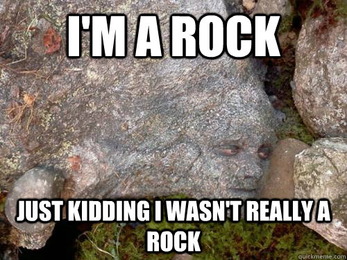 I Am A Rock Funny Camouflage Meme Image