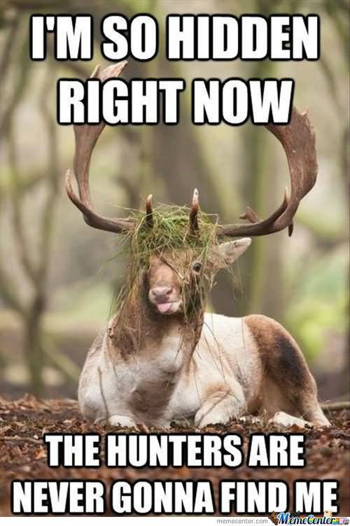 I Am So Hidden Right Now Funny Camouflage Deer Meme Picture