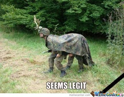 Seems Legit Funny Camouflage Image