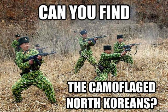 The Camouflaged North Koreans Funny Meme