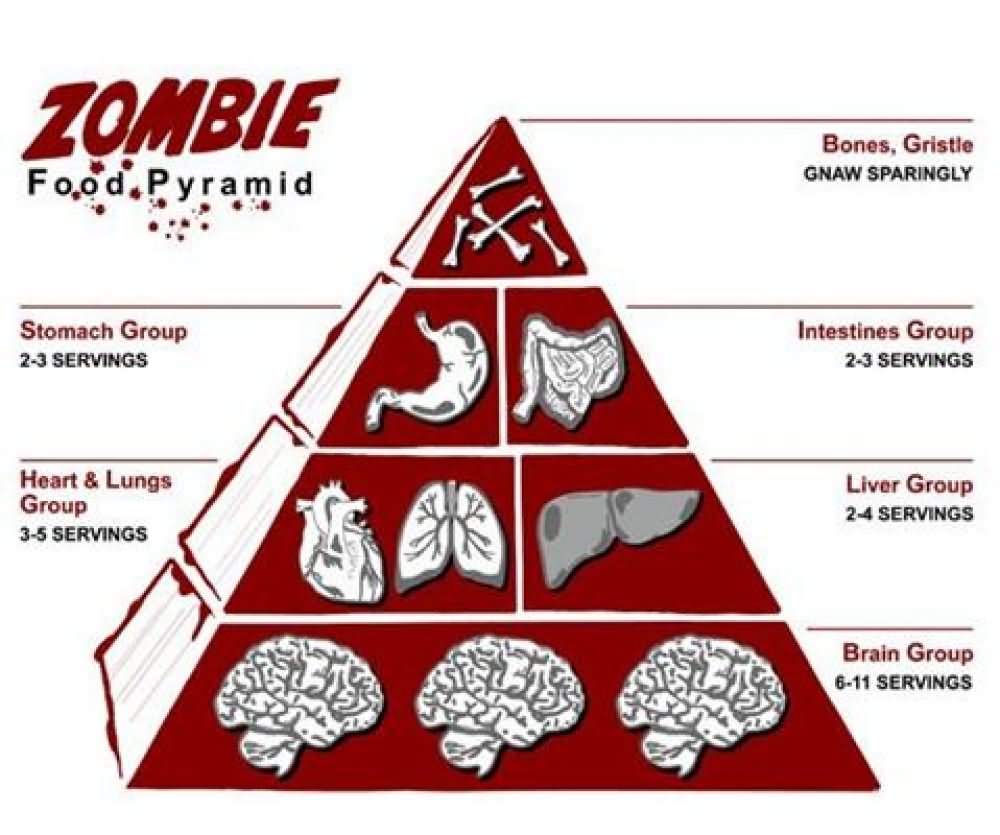 Zombie Food Pyramid Funny Parody Image