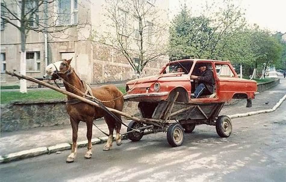 Funny Horse Car Cart Transportation Image