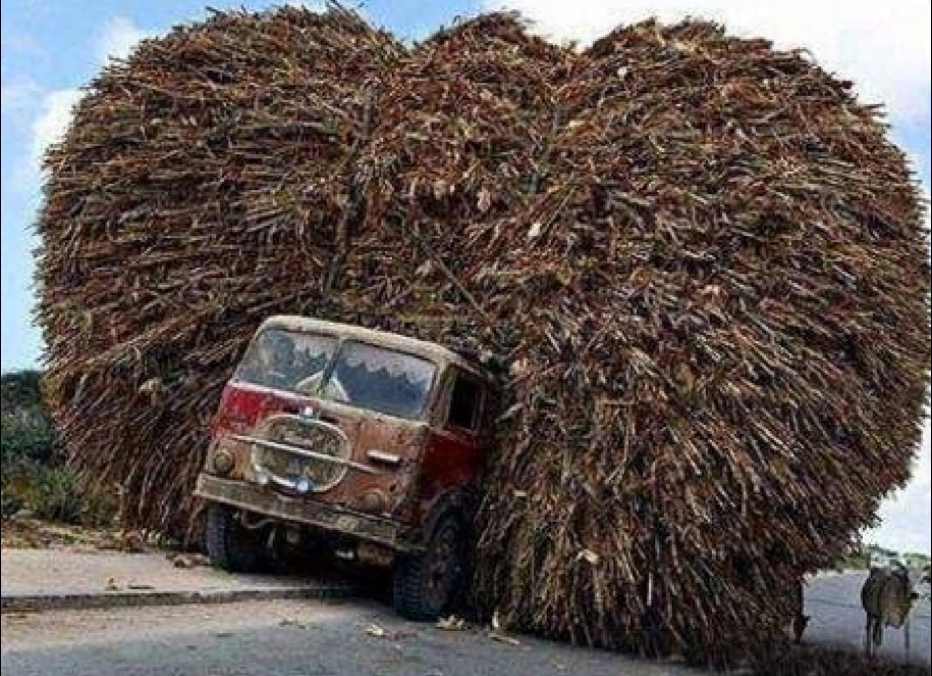 Funny Overloaded Indian Truck Transportation Photo