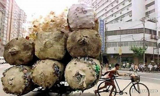 Funny Tricycle Overloaded Transportation Image