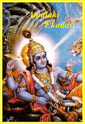 Amalaki Ekadasi Greeting Card