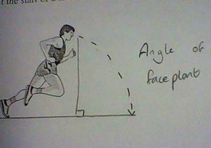 Angle Of Face Plant Funny Picture