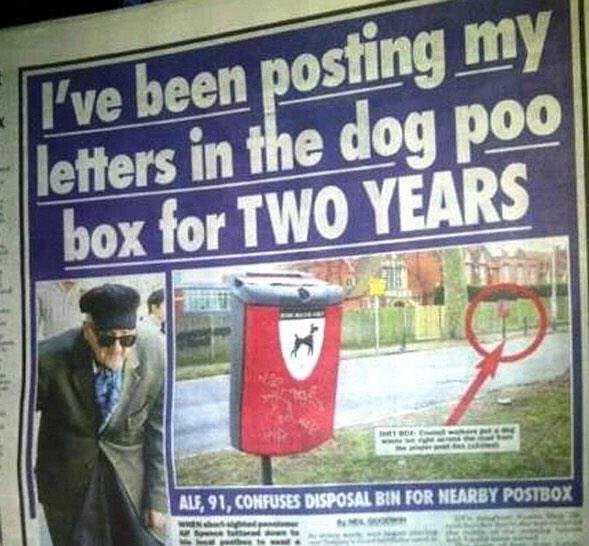 I Have Been Posting My Letters In The Dog Poo Box For Two Years Funny Shit Image