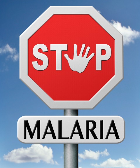 Stop Malaria Signboard World Malaria Day