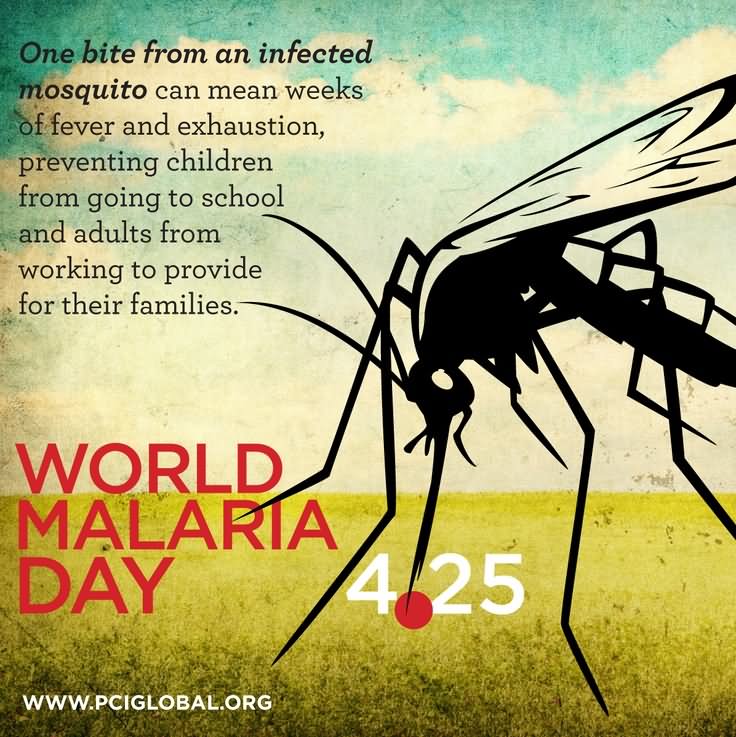 World Malaria Day 25 April Photo