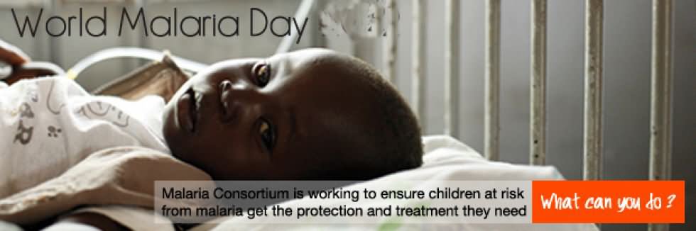 World Malaria Day Facebook Cover Picture