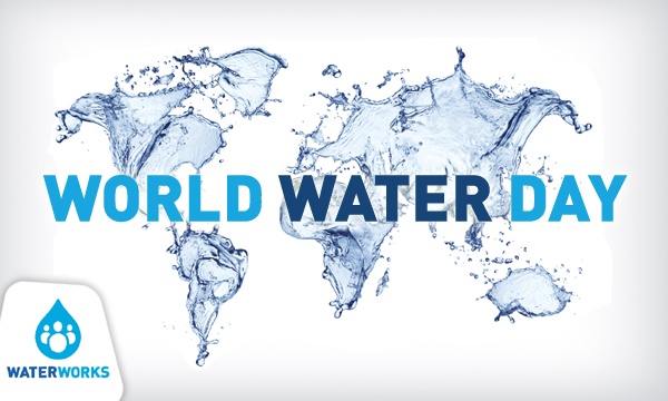 World Water Day Greetings Image