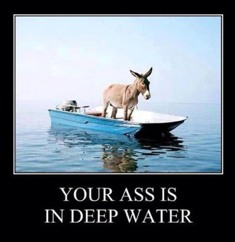 Your Ass Is In Deep Water Funny Miscellaneous Image