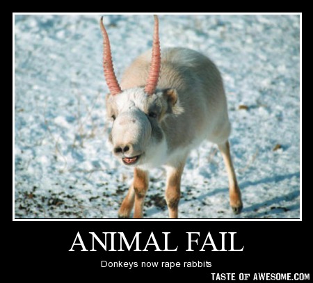 Animal Fail Donkeys Now Rape Rabbits Funny Picture