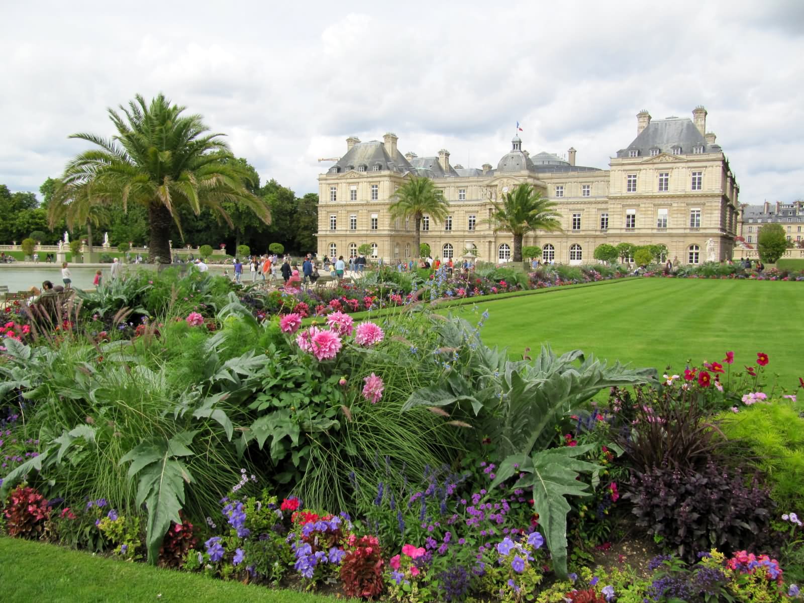 Beautiful Flowers In Jardin du Luxembourg Garden