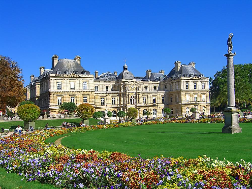 Beautiful Flowers In Jardin du Luxembourg Garden