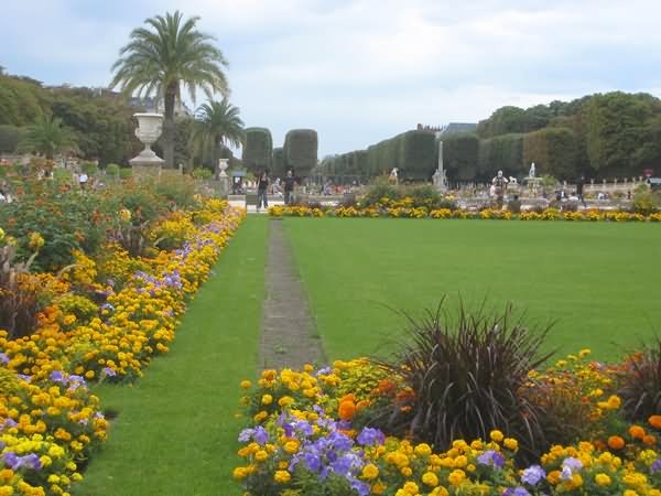 Beautiful Jardin du Luxembourg Garden Picture