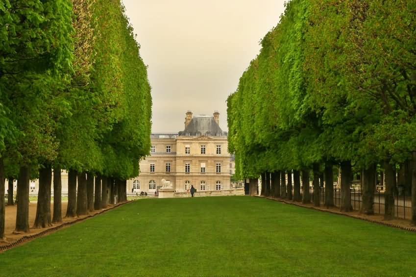 Beautiful Jardin du Luxembourg Garden