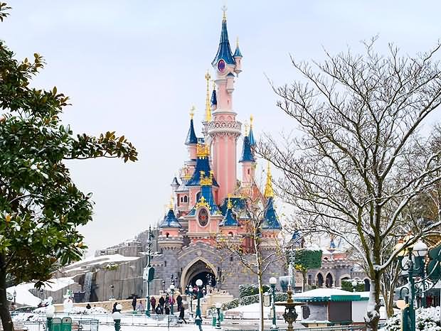 Front View Of Disneyland Paris Picture